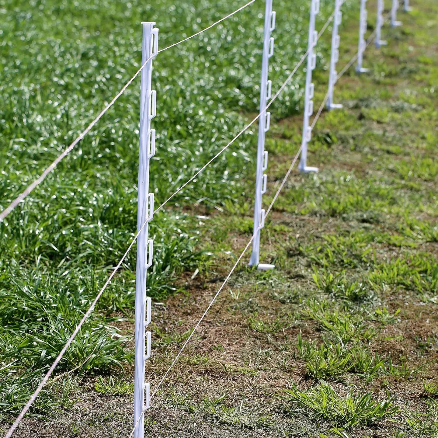 Electrical Protection Post Electric Fence Post: The Ultimate Guide to Choosing, Installing, and ...
